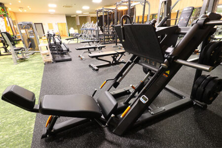 アングルドレッグプレス